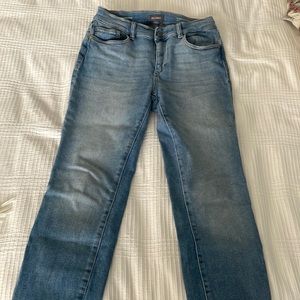 DL1962 collar is stellar